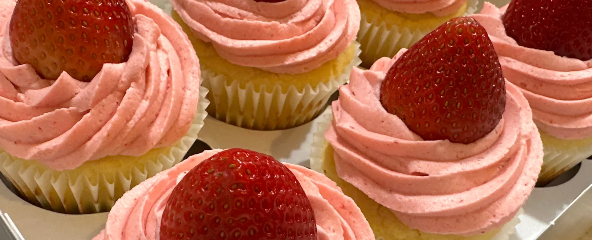 Freshly Baked Gourmet Perfection